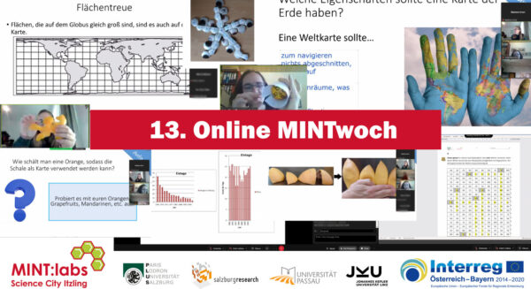 Online MINTwoch Collage