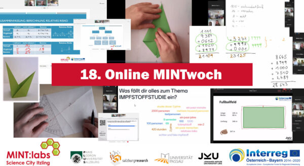 18. Online MINTwoch